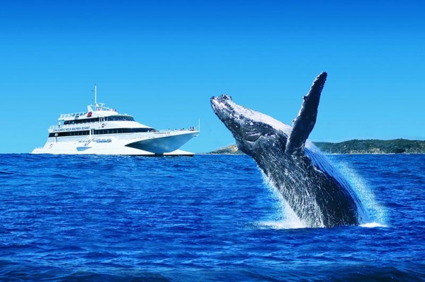 05 DAYS BRISBANE & GOLD COAST