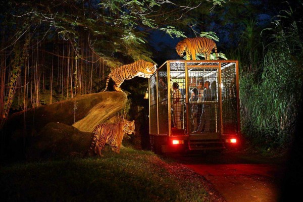 In Bali - Night Safari Packages by Bali Safari Marine Park